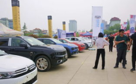 天门收车小姐姐,温馨服务，打造美好出行体验