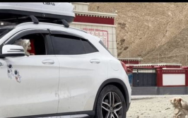 织布挡车小姐姐,挡车小姐姐的织造传奇