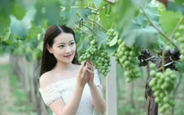 耶鲁小姐姐,揭秘校园风采与青春魅力